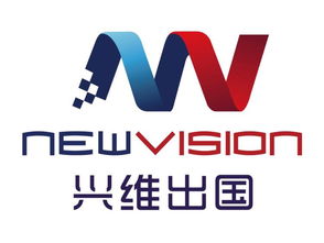 教育咨询服务的价值与实践——以四川兴维教育咨询有限责任公司为例