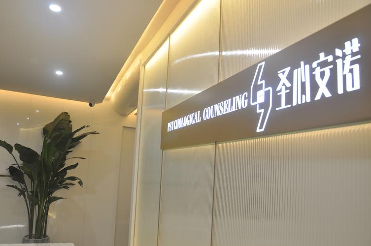 双轮驱动下的专业服务新范式 健康咨询与教育咨询的融合与边界